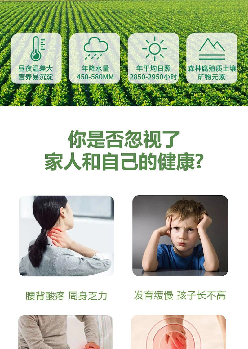 黄瓜籽粉高钙补钙接骨天然纯粉代餐冲饮免煮无添加现磨代餐粉