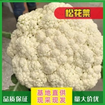 有机花菜2-3斤湖北菜花价格美丽，产地发货量大从优