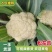 【有机花菜】精品有机花菜松花菜大量供应一手货源价格优惠