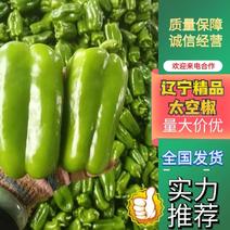 【鲜辣椒】精品太空椒青椒方椒圆椒大量供应可对接电商商超团购