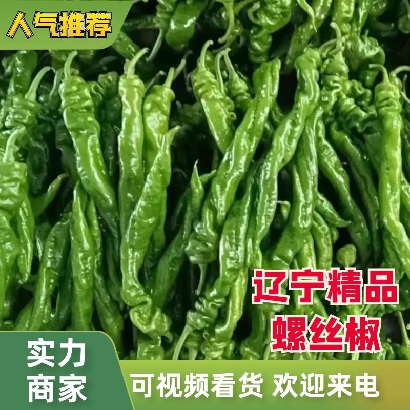 【好货】辽宁精品螺丝椒产地现摘现发品质保证量大从优