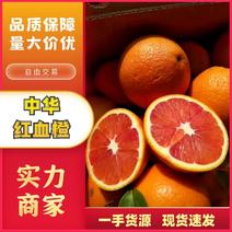 『万亩血橙基地』中华红血橙大量上市中，可长期供货货源充足