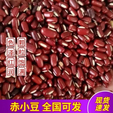 【赤小豆】规格齐全烘焙食品加工现货供应电联优惠