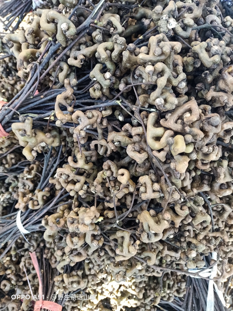 陕西安康新鲜拐枣，万寿果泡酒专用大量上市货源充足