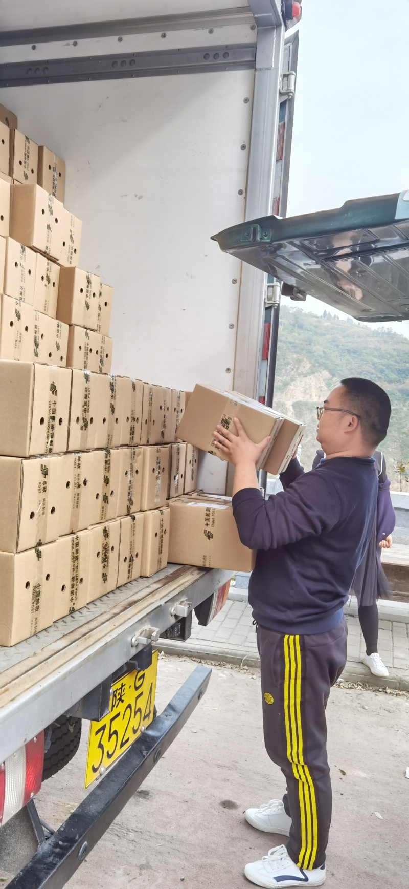 陕西安康新鲜拐枣，万寿果泡酒专用大量上市货源充足