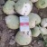 优选芥菜头大量上市现货现发供应全国市场商超批发商