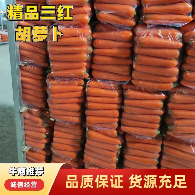 胡萝卜精品大红产地直发供应各大平台全国发货