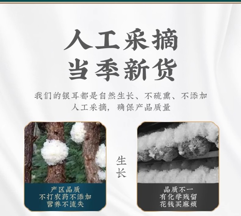 特产古田银耳干货100g包邮素燕窝色泽淡黄完整的蜜花雪耳