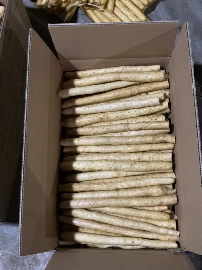 灵宝铁棍山药切片货品质保证对接全国基地直发