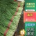 河北乐亭大叶韭菜量大价格美丽对接各大商超全国可发