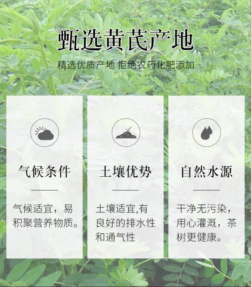 黄芪小片500g克甘肃农家采摘黄氏片中药材当归党参红枣枸