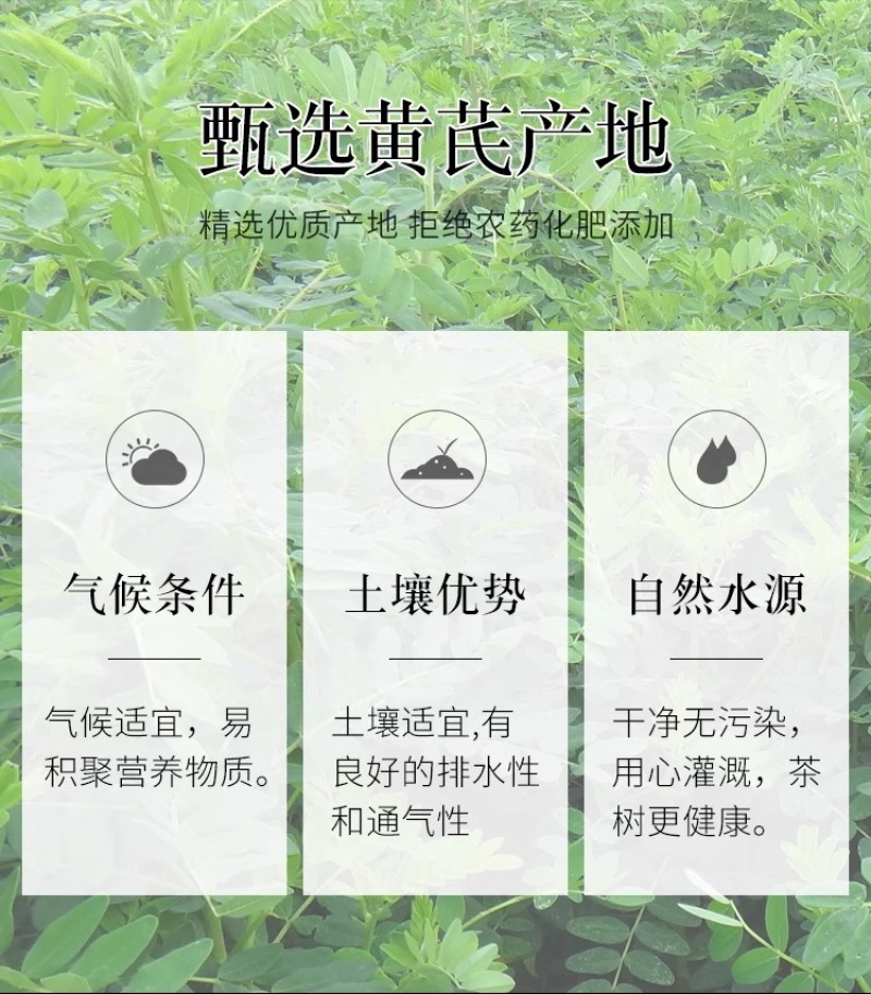 特级黄芪大片500g克甘肃岷县北芪黄芪片可配当归党参茶泡