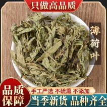 新货薄荷叶500克包邮新款上市常温优选新鲜食用干薄茶特级