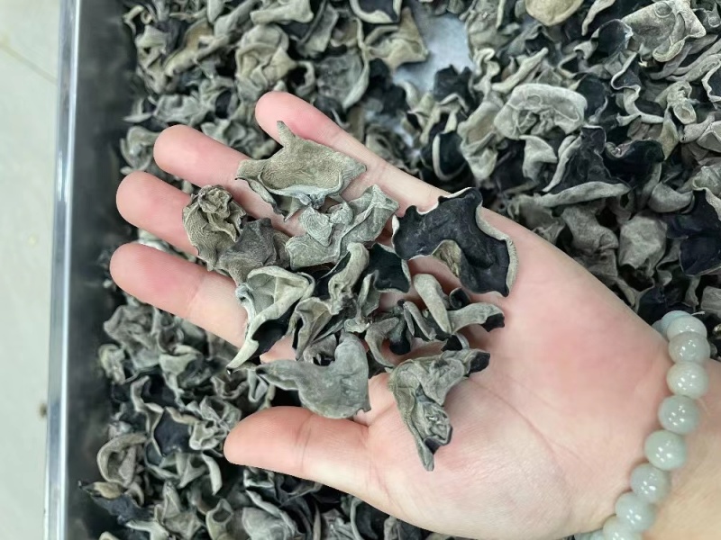 特价鼠耳黑木耳