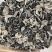 特价鼠耳黑木耳