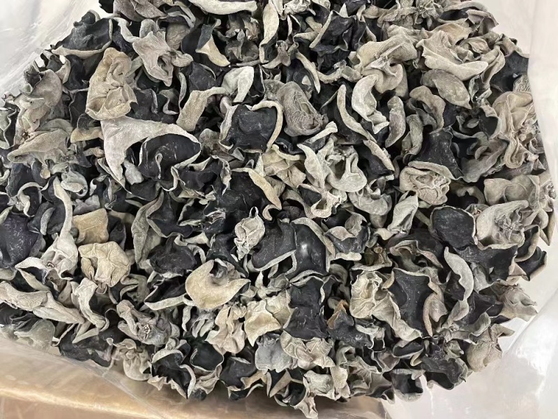 特价鼠耳黑木耳