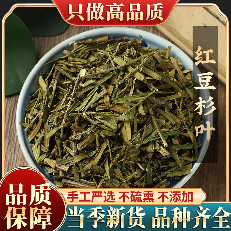 天然新货红豆杉叶500g包邮百年西藏杉叶子含紫彬醇另有杉
