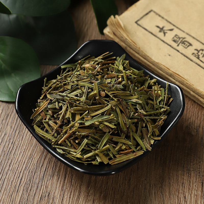 天然新货红豆杉叶500g包邮百年西藏杉叶子含紫彬醇另有杉