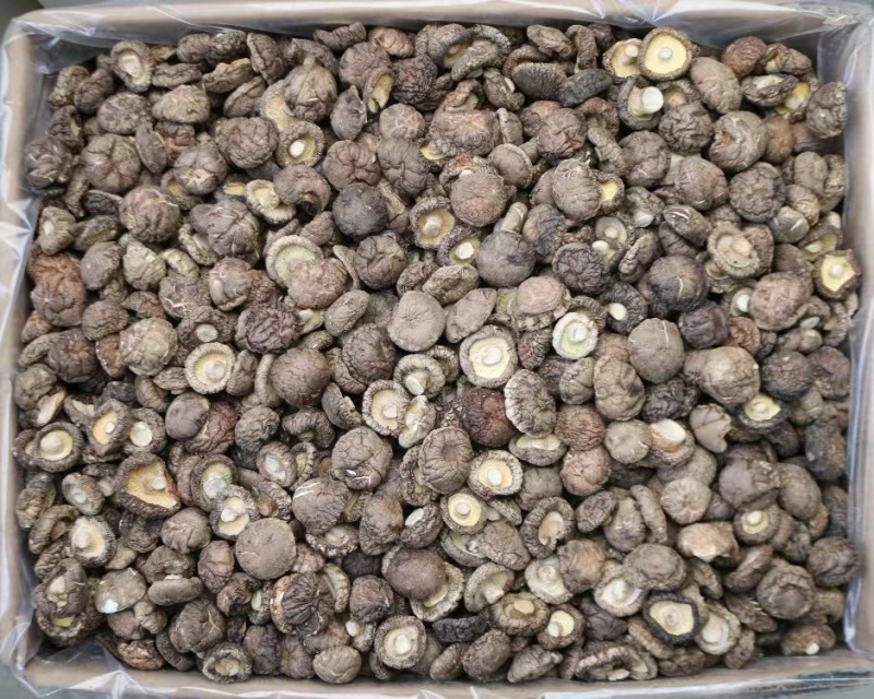 精选厚肉香菇