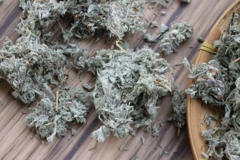绵茵陈