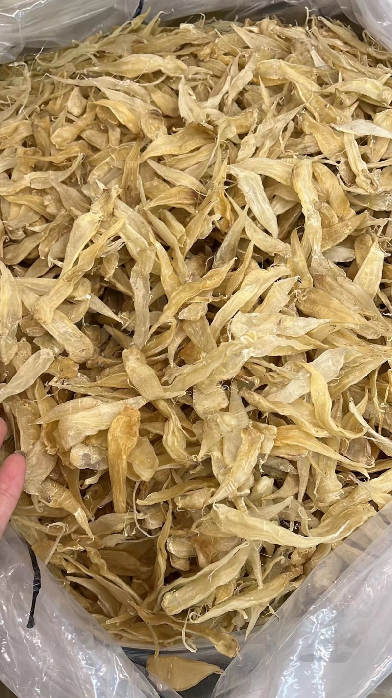 豆仁公胶