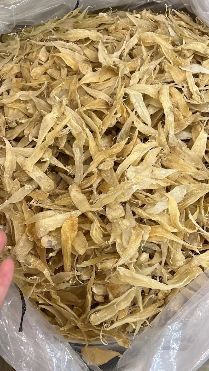 豆仁公胶