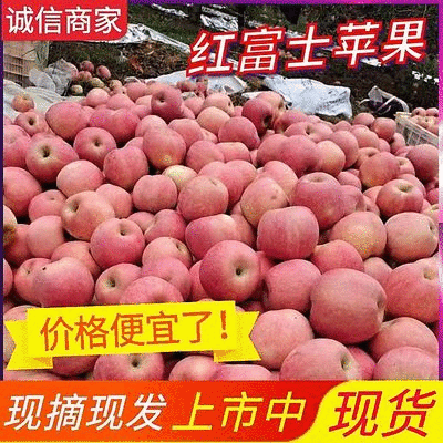 【红富士苹果】山西苹果专业供应链规格齐全全国代发