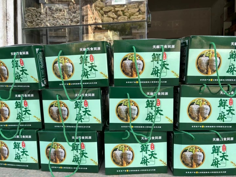昭通天麻精选天麻个子个头大质量保证视频看货欢迎电联