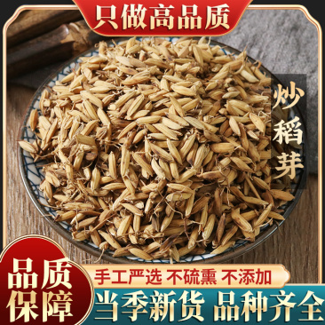 炒稻芽新货500g包邮谷芽炒稻芽中药材炒谷芽可搭炒麦