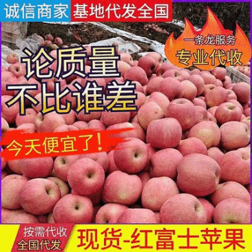 《精品推荐》红富士苹果山西苹果山西红富士可全国代发