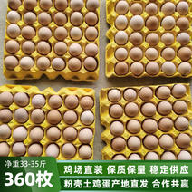 粉壳蛋土鸡蛋360/箱净重33-35斤农家蛋