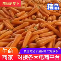 【牛商推荐】河北廊坊水洗胡萝卜，欢迎大家选购