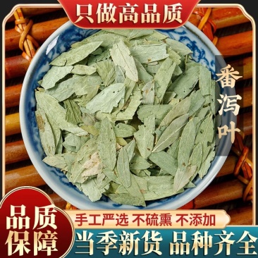 新货精选天然番泻叶500g包邮番茄叶中药材蕃泻叶非番泻