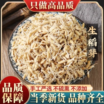新货生稻芽中药材500g包邮克儿童积食宝宝双芽水生麦芽