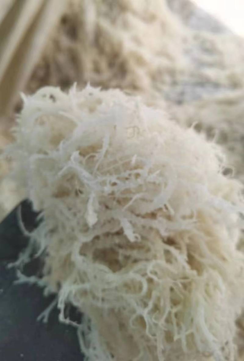 山东滕州新晒龙须菜批发干到扎手厂家直销量大从优欢迎咨询