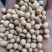 精品黄豆老品种黄豆及豆瓣豆香浓郁货源充足欢迎咨询