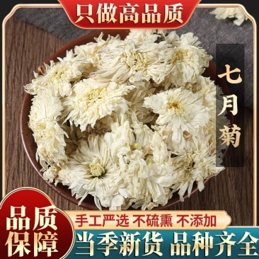 新货特级白菊花七月菊贡菊花500g包邮新鲜黄山贡菊花茶贡