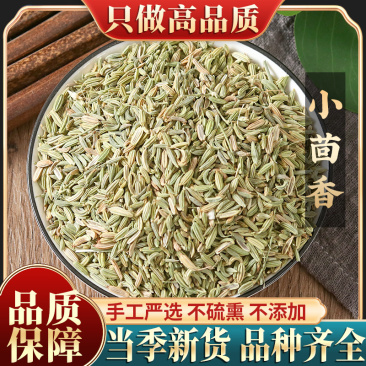 甘肃正宗小茴香500g包邮川菜火锅调料炖肉烧烤撒料香料大