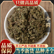 新货中药材小蓟500克包邮野生小蓟青青草刺狗牙刺儿菜干