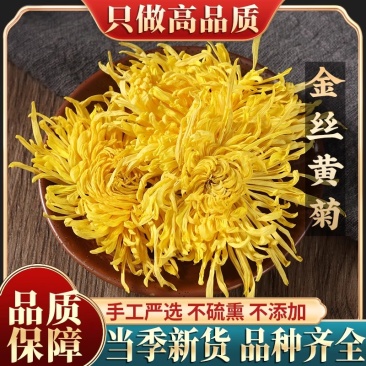 特级金丝皇菊250克大菊花散装一朵一杯大朵黄菊黄山贡菊