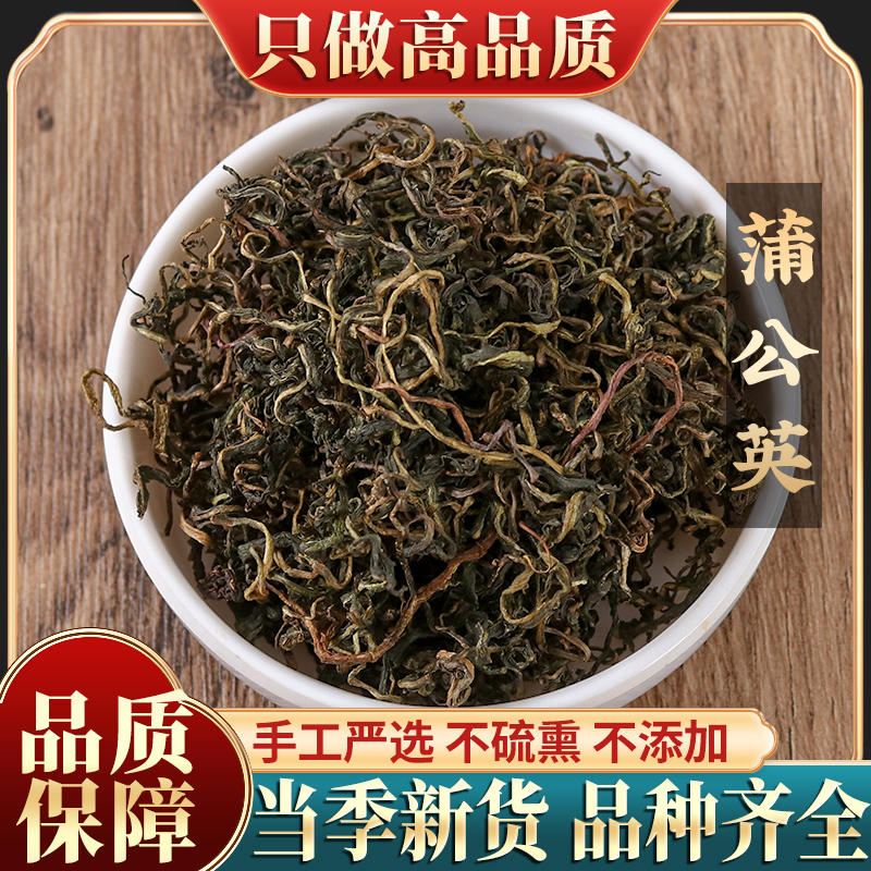 天然蒲公英茶500g新鲜整根蒲公英茶新鲜婆婆丁浦公英纯