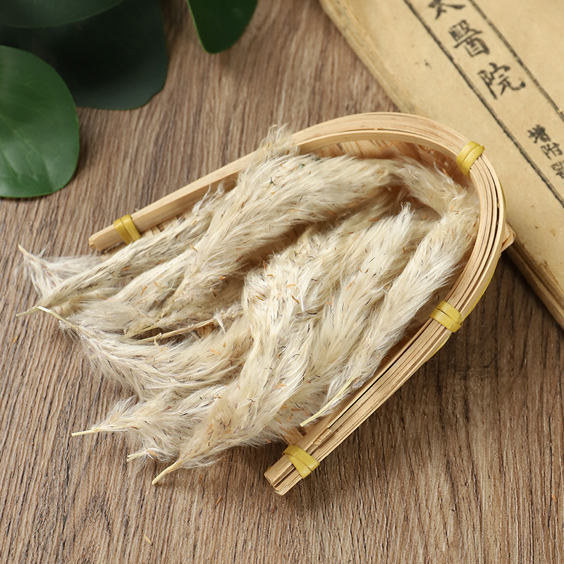 新货白茅花500g包邮中药材白茅根草花白毛花茅针花