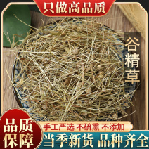 天然野生谷精草500g包邮中药材大别山珍珠草谷精珠谷精