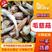 江苏扬州慈菇茨菇大量供应自己农场欢迎全国客商进行采购预订