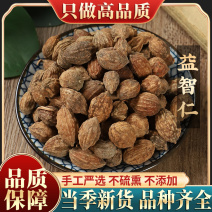 天然益智仁500g中药材泡水特级茶益智仁粉有芡实远志伸