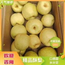 优选泔河酥梨口感甜水分大可视频看货大量供货欢迎咨询