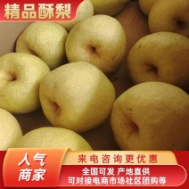 精品泔河酥梨口感甜水分大可视频看货大量供货欢迎咨询