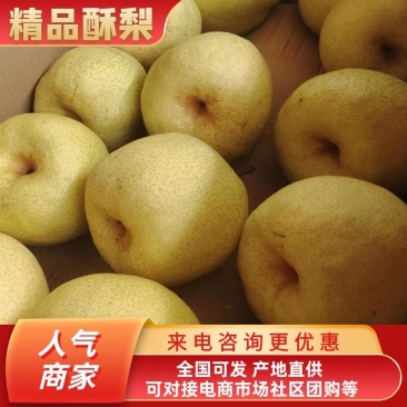 精品泔河酥梨口感甜水分大可视频看货大量供货欢迎咨询