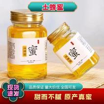 【纯正土蜂蜜】湖南野生土蜂蜜品质保证量大价优可视频看货