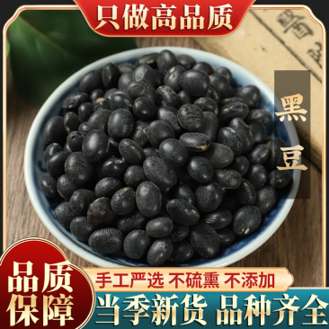 新货黑豆500g东北青仁绿心小黑豆农家自产新货五谷杂粮豆